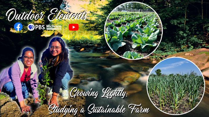 Growing Lightly: Studying a Sustainable Farm Thumbnail