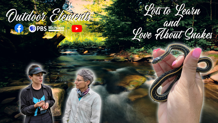 Lots to Learn and Love About Snakes Thumbnail