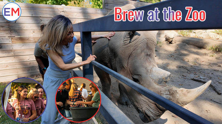 Brew at the Zoo Thumbnail