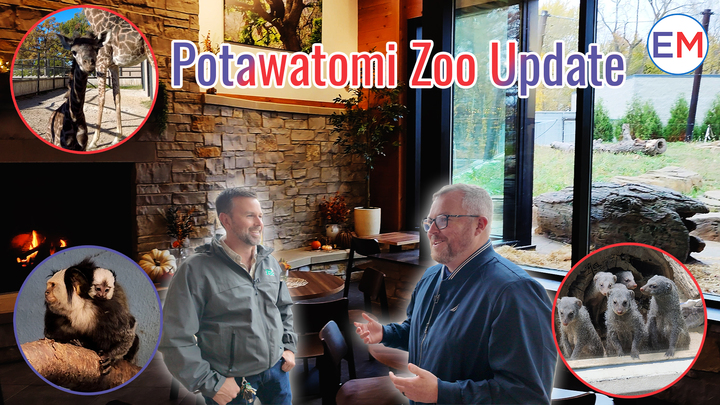 Potawatomi Zoo Update Thumbnail