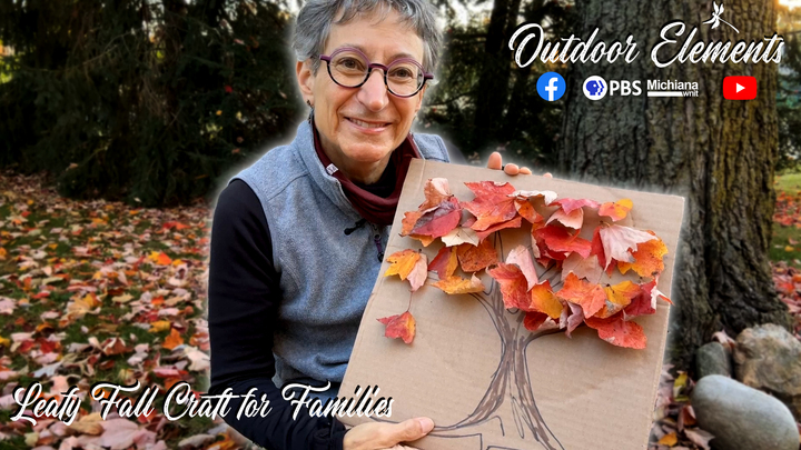 Leafy Fall Craft for Families Thumbnail