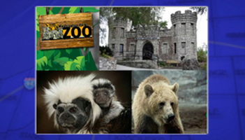 Washington Park Zoo Market Day Thumbnail