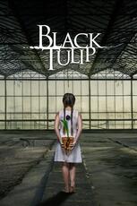 Black Tulip